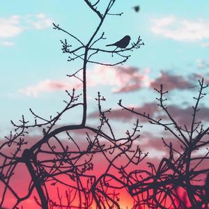 Meet your Posher, Savannah